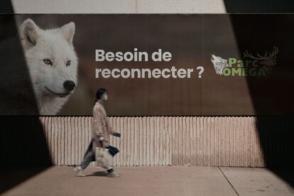 Une personne marche devant un panneau publicitaire pour le Parc Oméga. Le texte « Besoin de reconnecter? » y est affiché. 