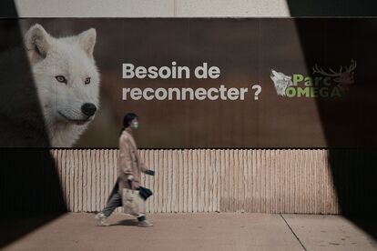 Street poster for Parc Omega's summer campaign