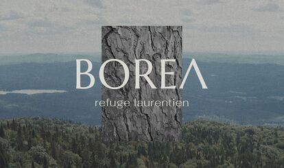 Logo de BOREA refuge laurentien avec une texture d'écorce d'arbre superposée sur un paysage de forêt boréale et de montagnes.