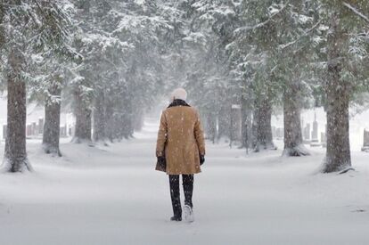 Un homme marche dans une forêt aux arbres enneigés. 