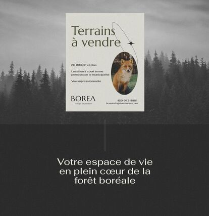 An advertisement for lots for sale in a real estate project called BOREA refuge laurentien. The image shows a fox in a forest, with text highlighting the land's features: 80,000 sq. ft. and more, short-term leasing permitted, impressive views.