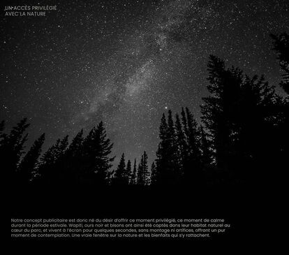 Ciel nocturne étoilé avec la Voie lactée visible au-dessus d'une silhouette de forêt de conifères. Le texte superposé décrit un concept publicitaire visant à offrir un moment de calme en été, mettant en scène des animaux sauvages dans leur habitat naturel